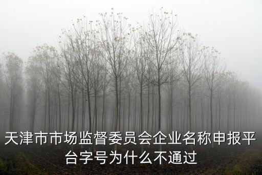 天津市名稱登記，天津市市場監督委員會企業名稱申報平臺字號為什么不通過