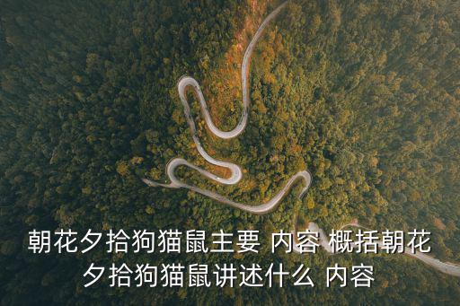 狗貓鼠內容概括,《狗、貓、老鼠》揭批評評家的卑鄙手段