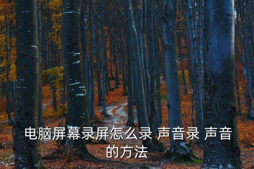 錄制電腦聲音,電腦如何記錄聲音?