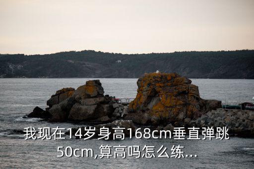 我現在14歲身高168cm垂直彈跳50cm,算高嗎怎么練...