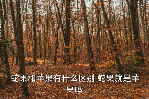  蛇果和蘋果有什么區別 蛇果就是蘋果嗎