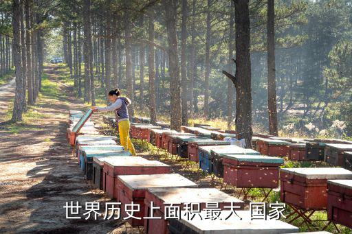 世界歷史上面積最大 國家