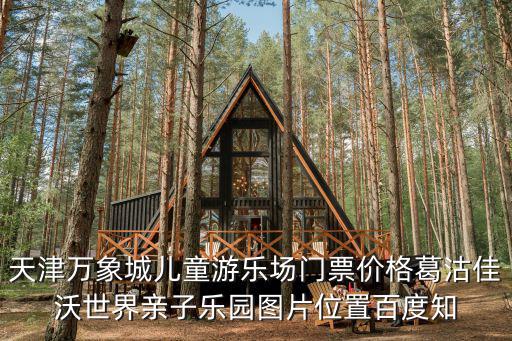 天津萬象城兒童游樂場門票價格葛沽佳沃世界親子樂園圖片位置百度知