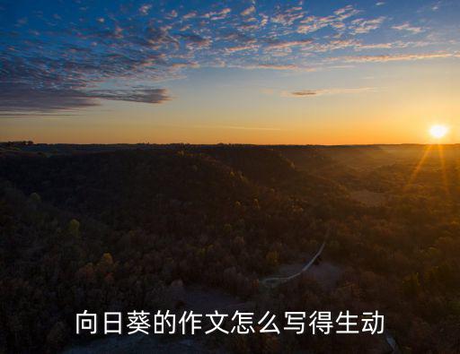 寫向日葵的作文，向日葵的作文怎么寫得生動(dòng)