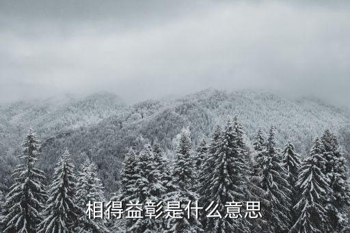 相得益彰的意思，精益求精 老當益壯 相得益彰 多多益善的益各是什么意思
