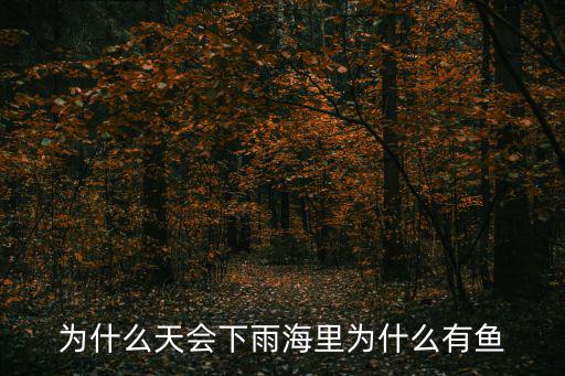 為什么天會下雨海里為什么有魚
