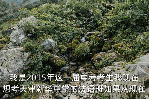 我是2015年這一屆中考考生我現在想考天津新華中學的法語班如果從現在