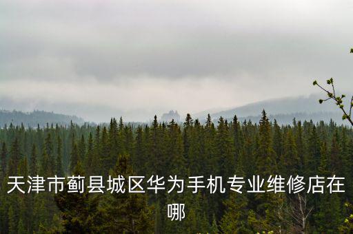 天津市薊縣城區華為手機專業維修店在哪