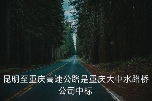 重慶市大中水路橋昆明，路橋到昆明的機票要多少錢