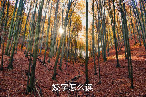 姣字怎么讀