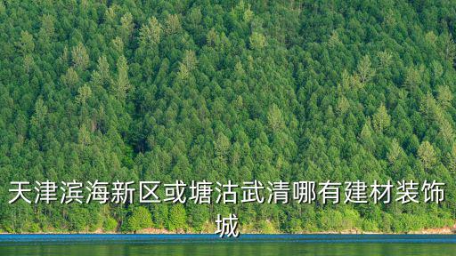 天津市武清區哪里有做裝飾的，天津濱海新區或塘沽武清哪有建材裝飾城