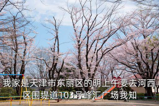 天津市真明農資經銷處怎么樣，我家是天津市東麗區的明上午要去河西區圍堤道103號峰匯廣場我知