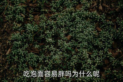 吃泡面容易發胖嗎，吃泡面會發胖嗎