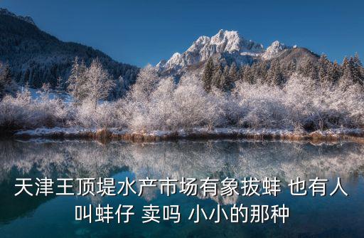天津市王頂堤水產批發市場視頻，誰知道天津王頂堤批發市場搬到那去了