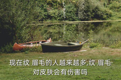 紋眉毛有什么危害,大型正規(guī)美容醫(yī)院提供免費紋眉服務(wù)