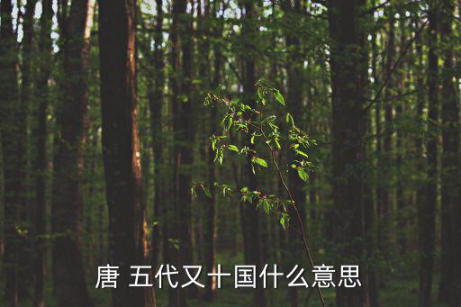 唐五代,唐五代詞重要藏書有《花間集》、《昭前集》