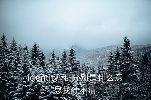 identity 和 分別是什么意思我分不清