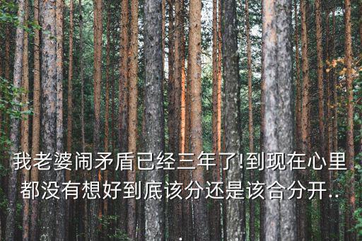 有妻大家嘗,夫妻不能以婚姻的形式綁在一起孩子心中有愧
