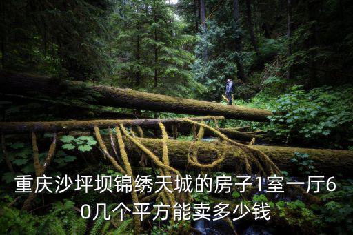 重慶市沙坪壩電梯二手房出售，重慶沙坪壩錦繡天城的房子1室一廳60幾個平方能賣多少錢