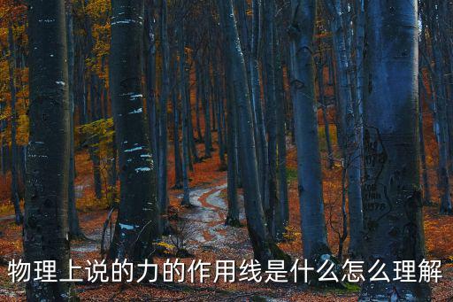 物理上說的力的作用線是什么怎么理解