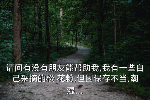 請問有沒有朋友能幫助我,我有一些自己采摘的松 花粉,但因保存不當,潮濕...