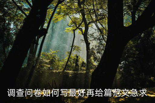 調(diào)查問卷如何寫最好再給篇范文急求