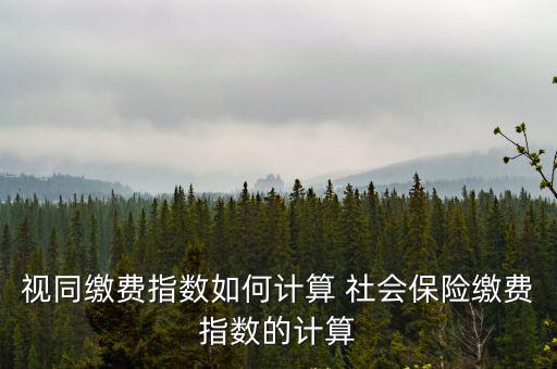 視同繳費指數如何計算 社會保險繳費指數的計算