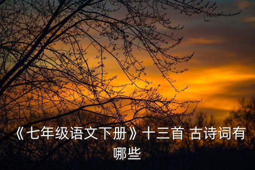 七下古詩,竹里關(guān)閉森林沒有人能聽見鳥聲