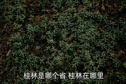 廣西桂林,廣西壯族自治區首府廣信以廣信命名
