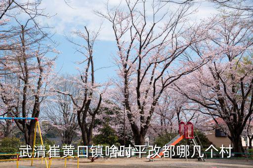 武清崔黃口鎮(zhèn)啥時平改都哪幾個村