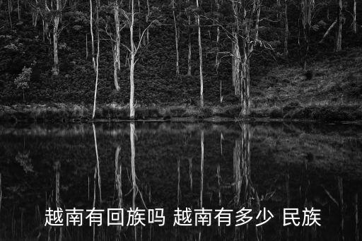 越南民族,越南人口不到一億卻有七十多個民族