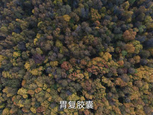 胃復膠囊，胃炎吃藥老不好