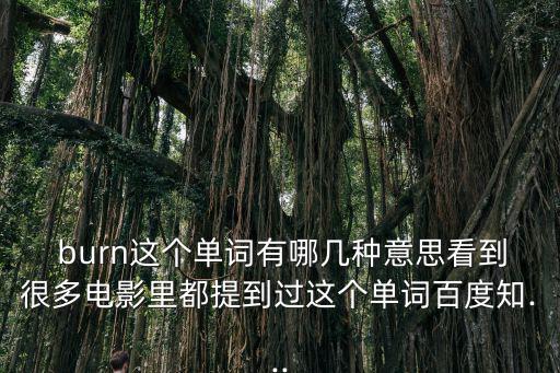  burn這個單詞有哪幾種意思看到很多電影里都提到過這個單詞百度知...