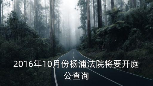 2016年10月份楊浦法院將要開庭公查詢