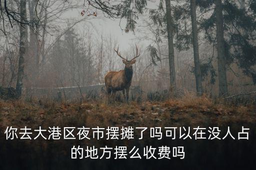 你去大港區夜市擺攤了嗎可以在沒人占的地方擺么收費嗎