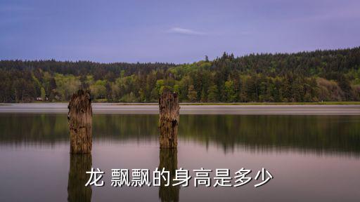 龍 飄飄的身高是多少