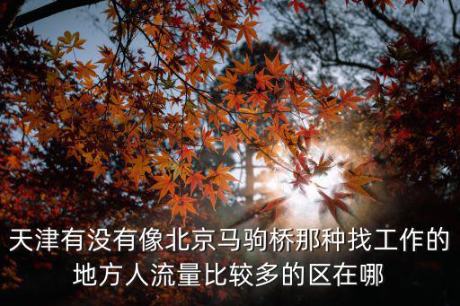 天津有沒(méi)有像北京馬駒橋那種找工作的地方人流量比較多的區(qū)在哪