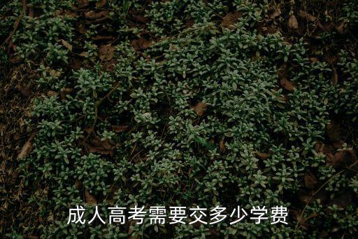 成人高考費用大概多少費用，成人高考需要交多少學費