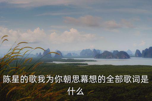 陳星的歌我為你朝思幕想的全部歌詞是什么