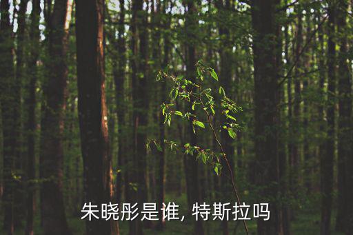 朱曉彤是誰, 特斯拉嗎