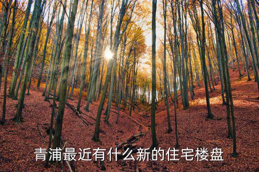 青浦新樓盤2021，求淮安青浦區5月開盤的樓盤優惠信息