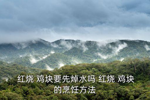 紅燒雞塊的做法,家常紅燒雞塊怎么做好吃?