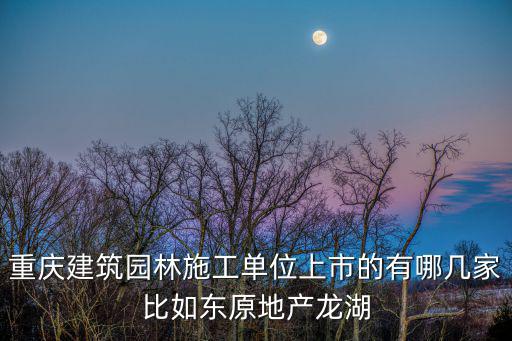 重慶建筑園林施工單位上市的有哪幾家比如東原地產龍湖