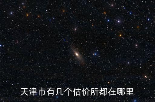 天津市有幾個估價所都在哪里