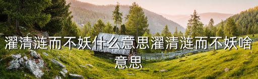濯清漣,出淤泥而不染，清漣而不妖