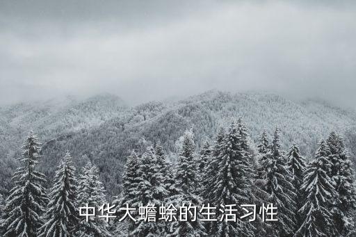 中華大蟾蜍的生活習性