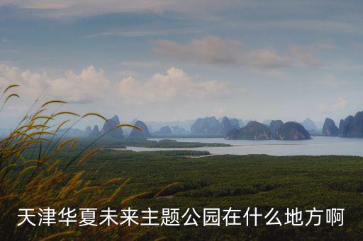 天津華夏未來主題公園在什么地方啊