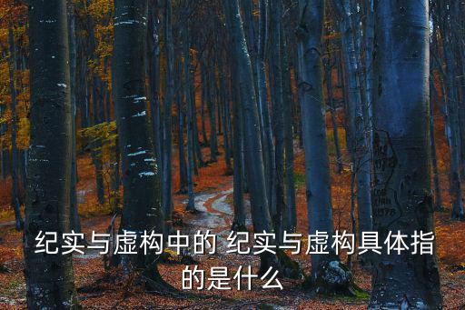  紀(jì)實(shí)與虛構(gòu)中的 紀(jì)實(shí)與虛構(gòu)具體指的是什么