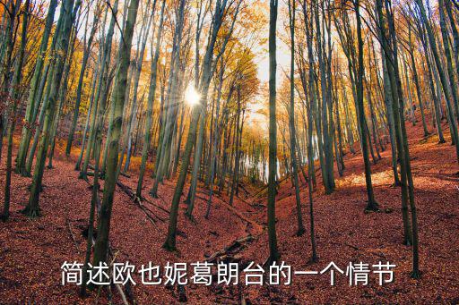 歐也妮葛朗臺故事梗概，簡述歐也妮葛朗臺的一個情節