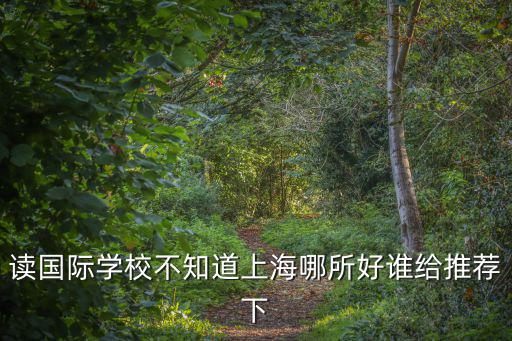 讀國際學校不知道上海哪所好誰給推薦下